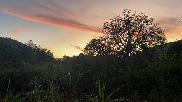 Chácara à venda de 6 ha em Riozinho, RS, Brasil