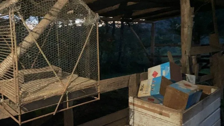 Chácara à venda de 6 ha em Riozinho, RS, Brasil