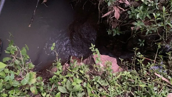 Chácara à venda de 6 ha em Riozinho, RS, Brasil