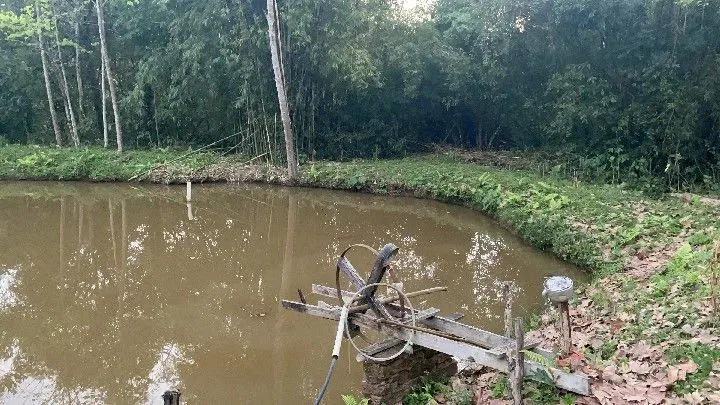 Chácara à venda de 6 ha em Riozinho, RS, Brasil