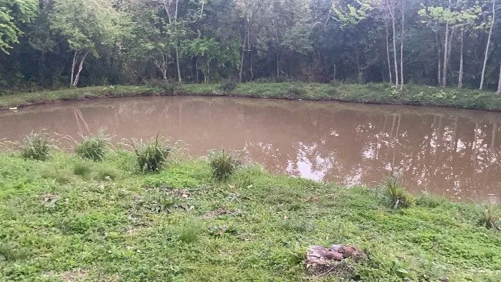 Chácara à venda de 6 ha em Riozinho, RS, Brasil