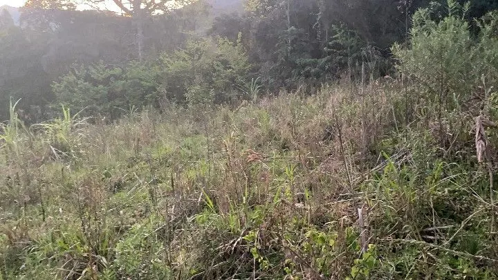 Chácara à venda de 6 ha em Riozinho, RS, Brasil