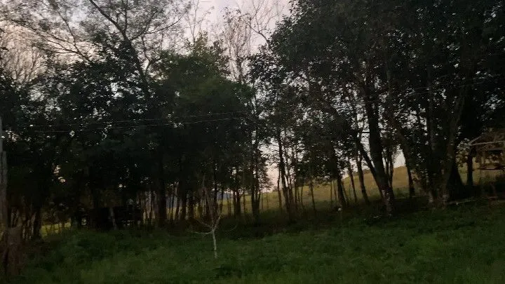 Chácara à venda de 6 ha em Riozinho, RS, Brasil