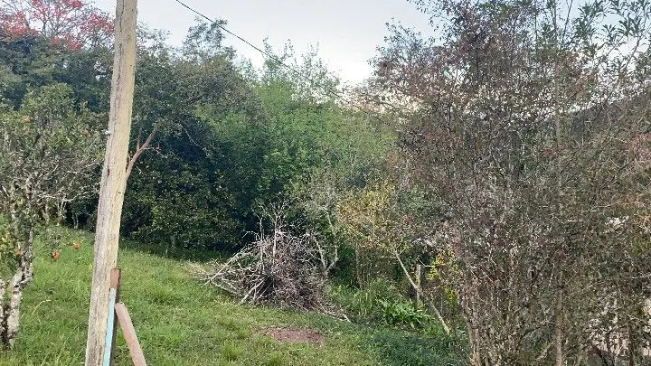 Chácara à venda de 6 ha em Riozinho, RS, Brasil