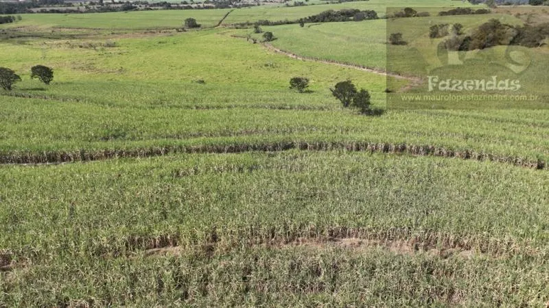 Fazenda à venda de 194 ha em Tatuí, SP, Brasil