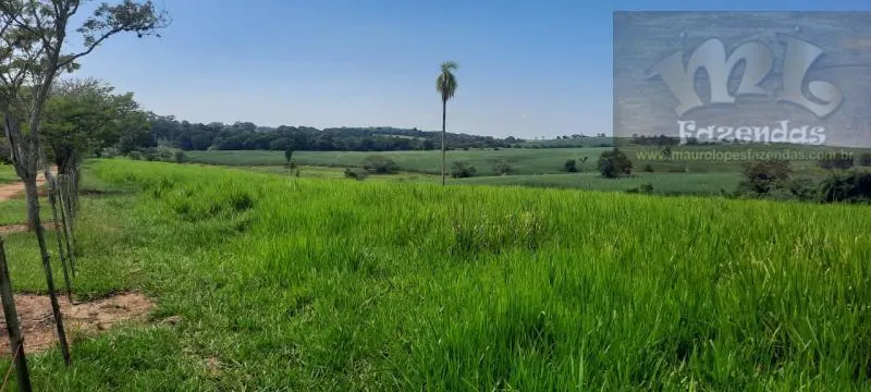 Fazenda à venda de 194 ha em Tatuí, SP, Brasil