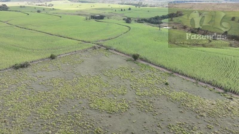 Fazenda à venda de 194 ha em Tatuí, SP, Brasil