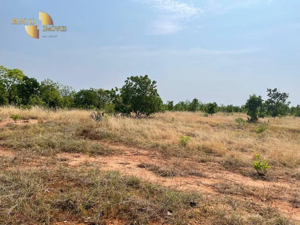 Fazenda à venda de 300 ha em Campo Verde, MT, Brasil