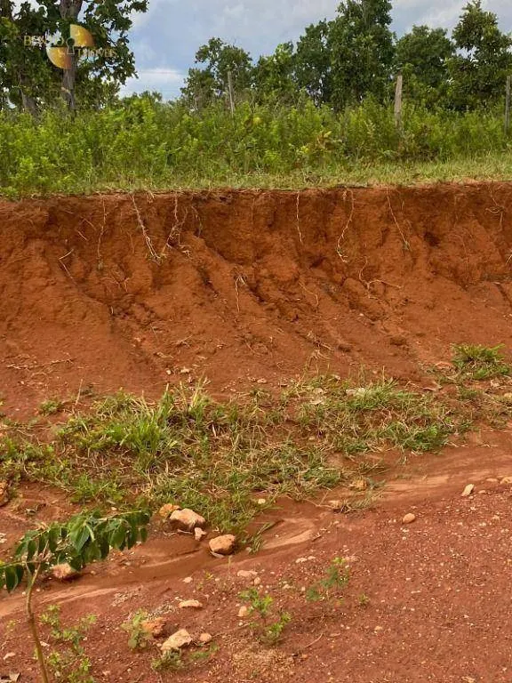 Fazenda à venda de 300 ha em Campo Verde, MT, Brasil