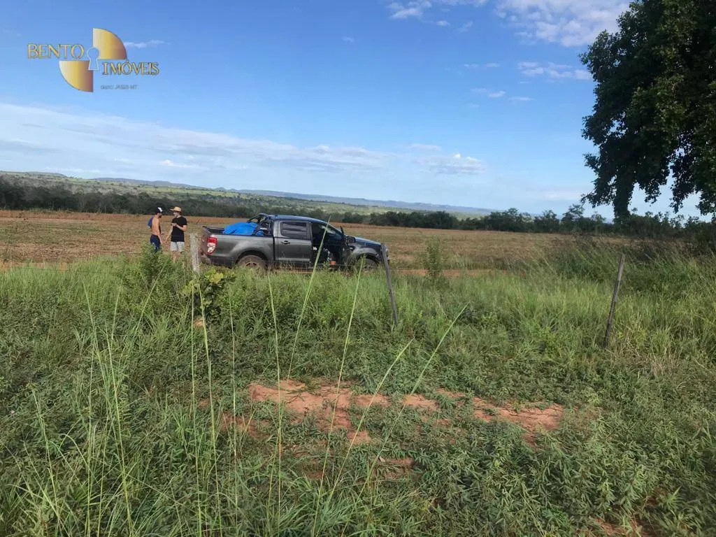 Fazenda à venda de 300 ha em Campo Verde, MT, Brasil