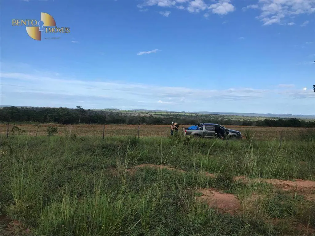 Fazenda à venda de 300 ha em Campo Verde, MT, Brasil