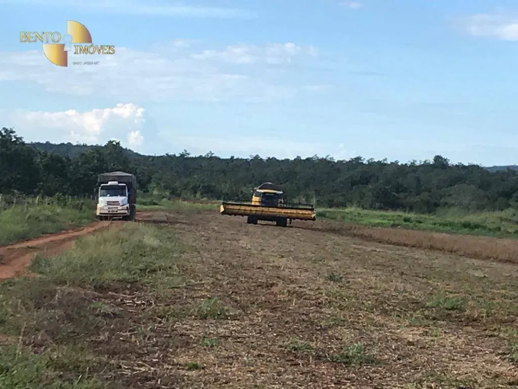 Fazenda à venda de 300 ha em Campo Verde, MT, Brasil