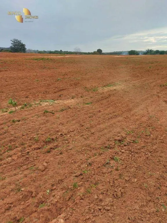 Fazenda à venda de 300 ha em Campo Verde, MT, Brasil
