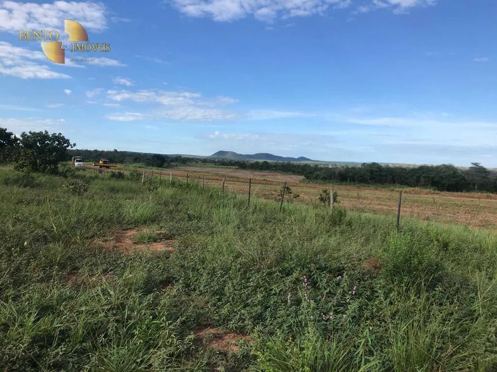 Fazenda à venda de 300 ha em Campo Verde, MT, Brasil
