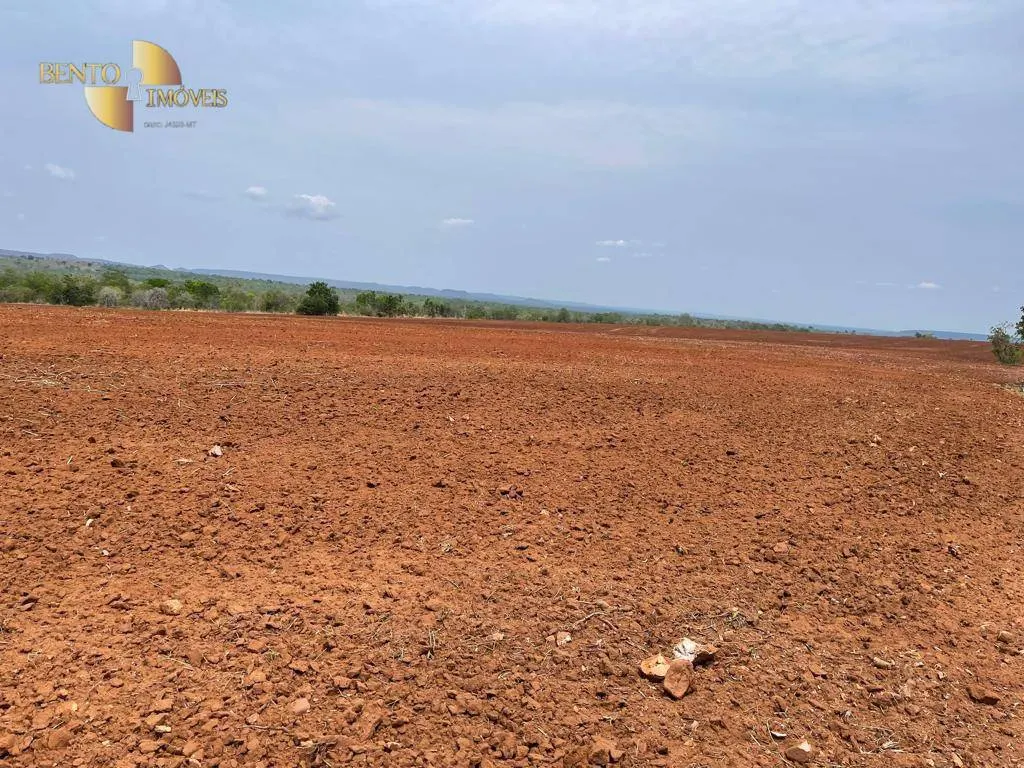 Fazenda à venda de 300 ha em Campo Verde, MT, Brasil