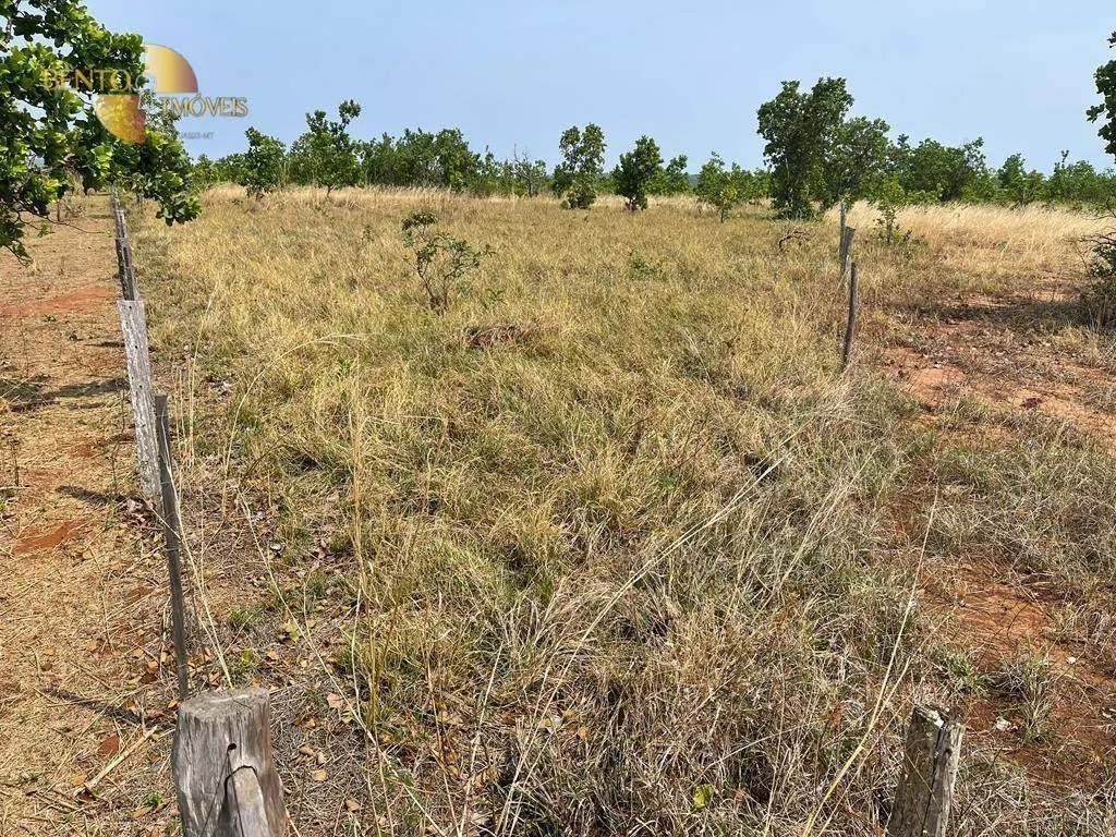 Fazenda à venda de 300 ha em Campo Verde, MT, Brasil