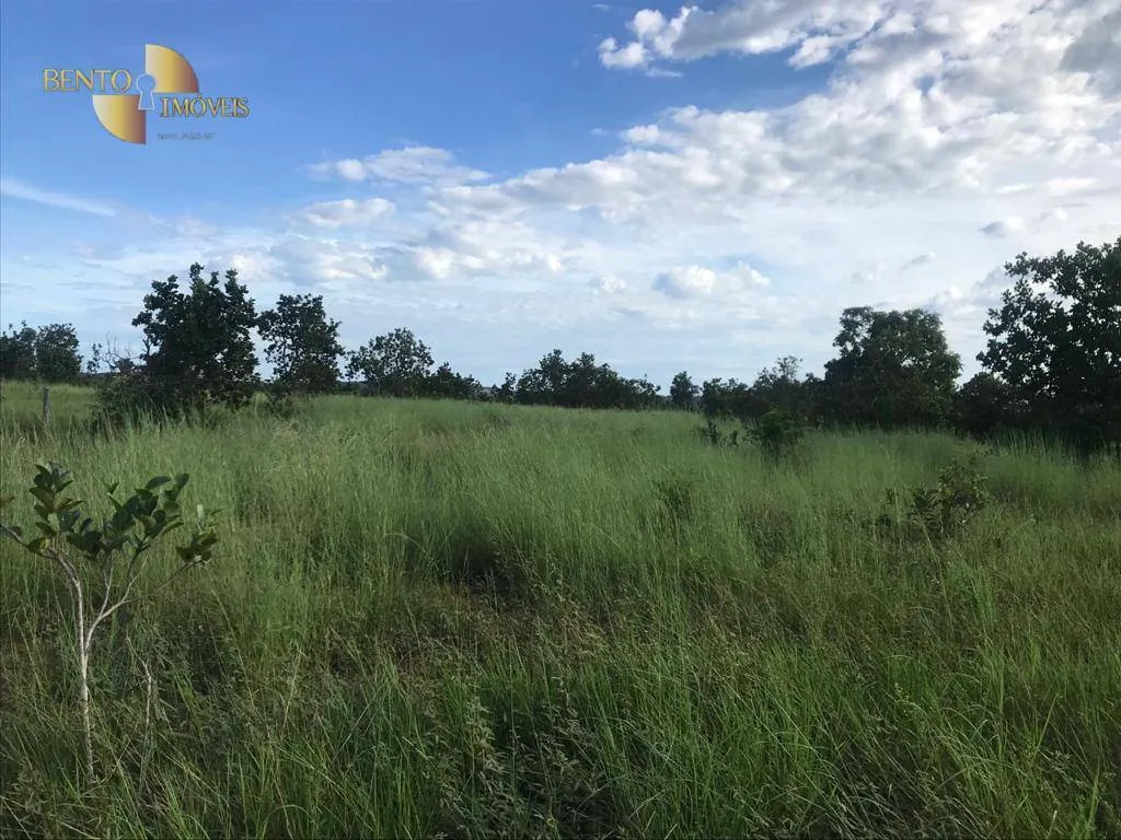 Fazenda à venda de 300 ha em Campo Verde, MT, Brasil