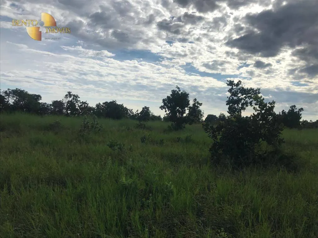 Fazenda à venda de 300 ha em Campo Verde, MT, Brasil