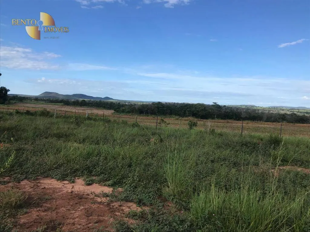 Fazenda à venda de 300 ha em Campo Verde, MT, Brasil