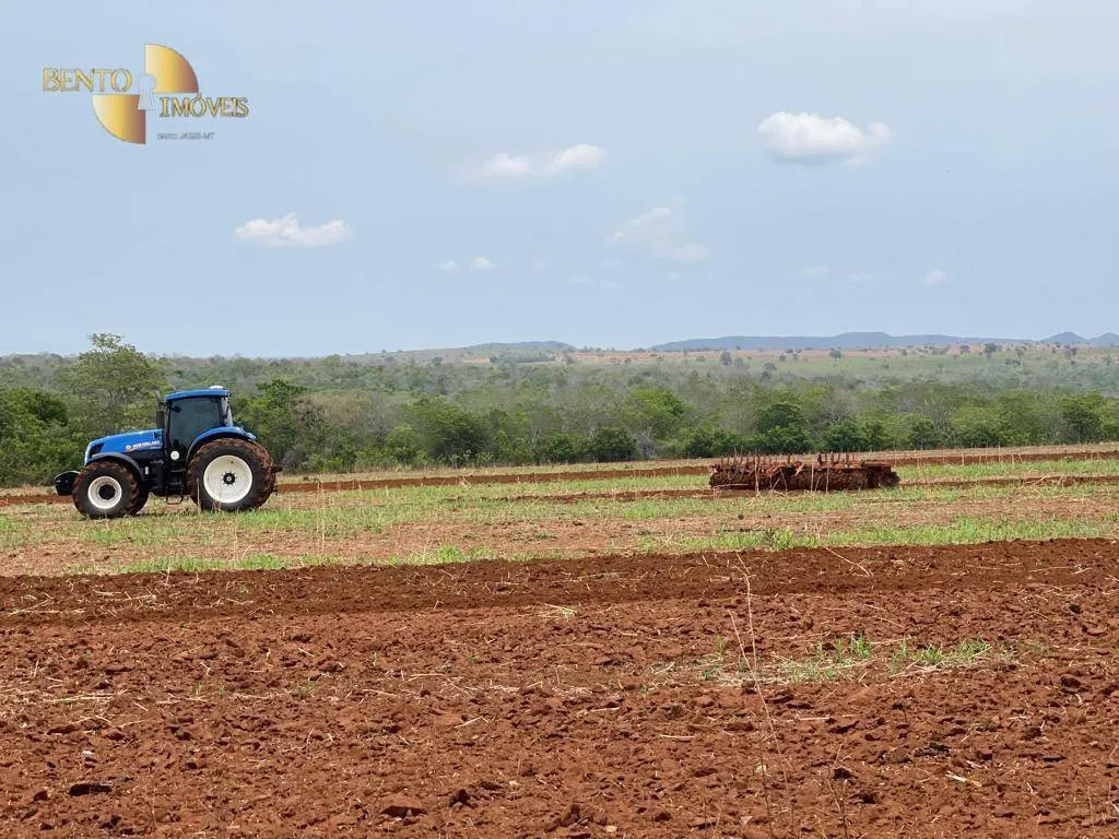 Fazenda à venda de 300 ha em Campo Verde, MT, Brasil