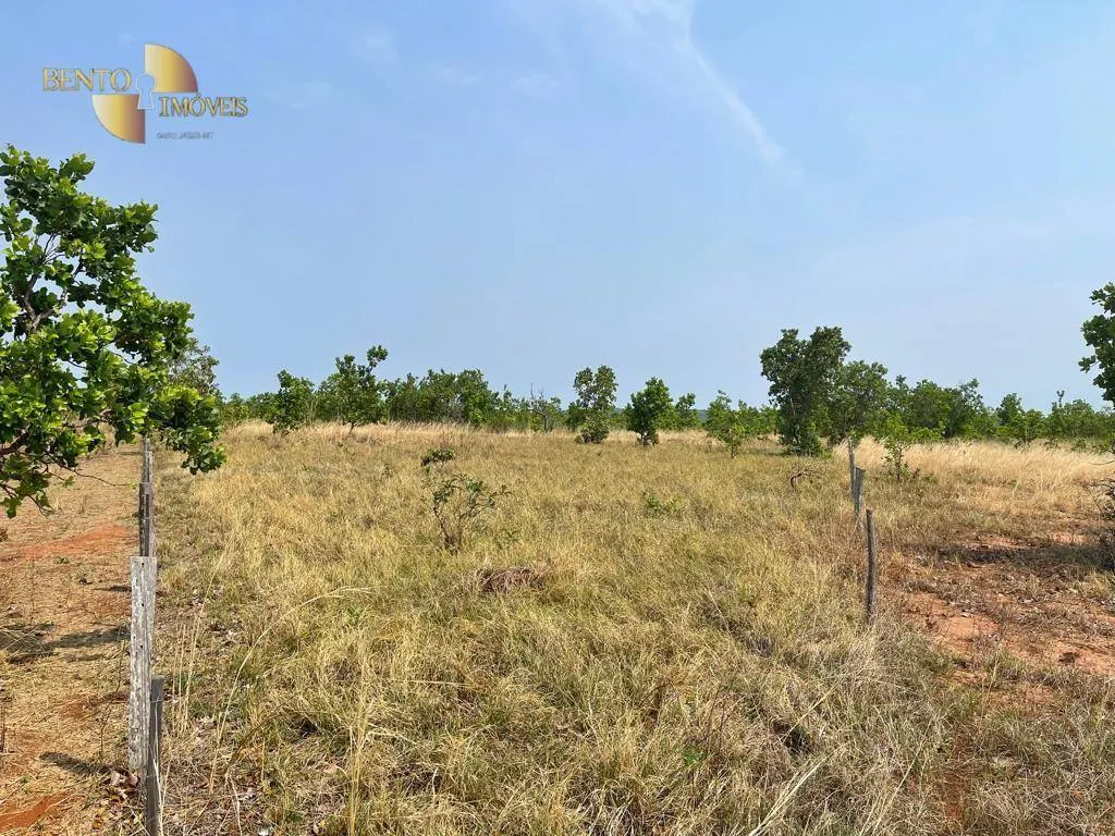 Fazenda à venda de 300 ha em Campo Verde, MT, Brasil