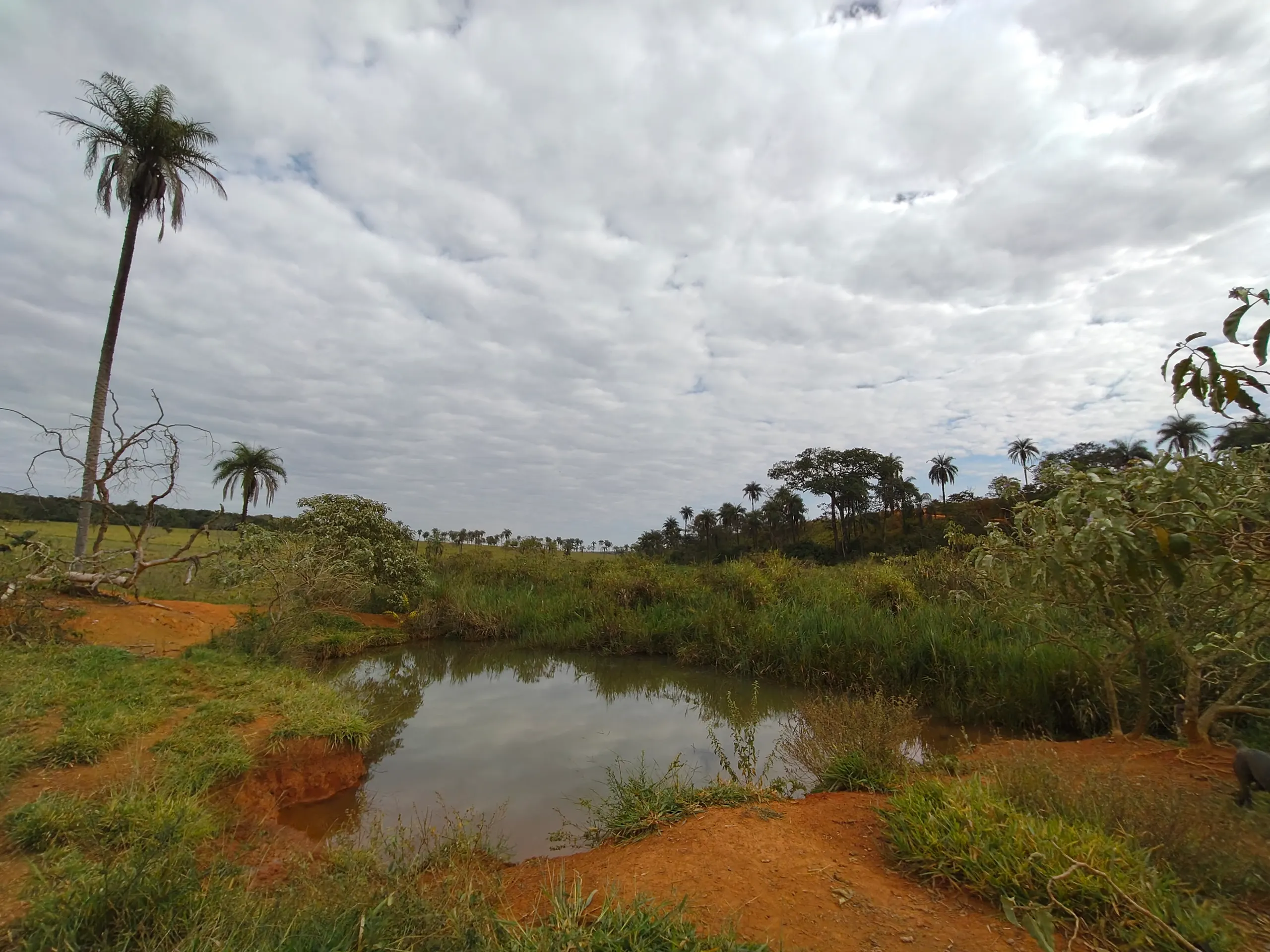 Sítio à venda de 28 ha em Abaeté, MG, Brasil