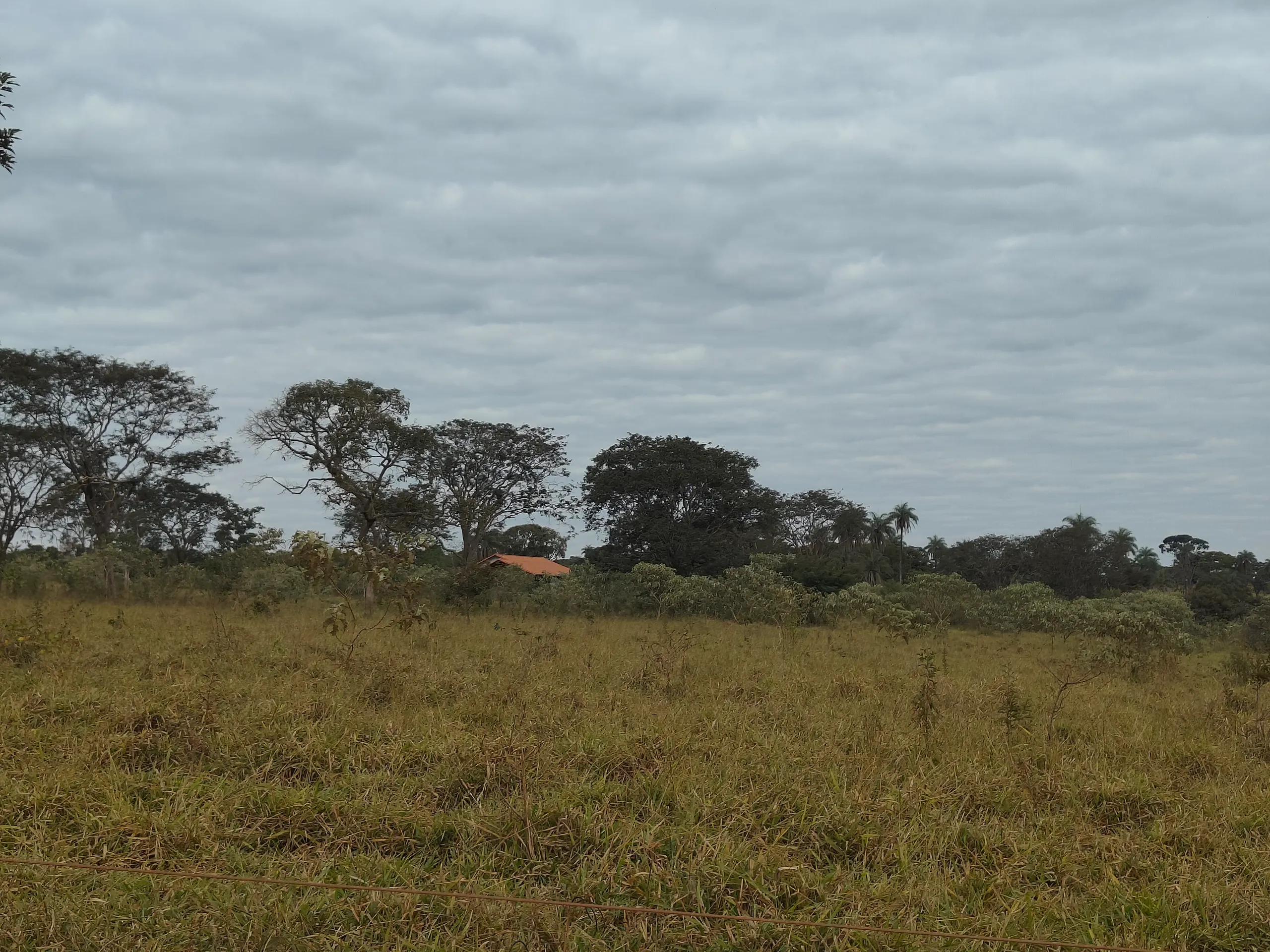 Sítio à venda de 28 ha em Abaeté, MG, Brasil