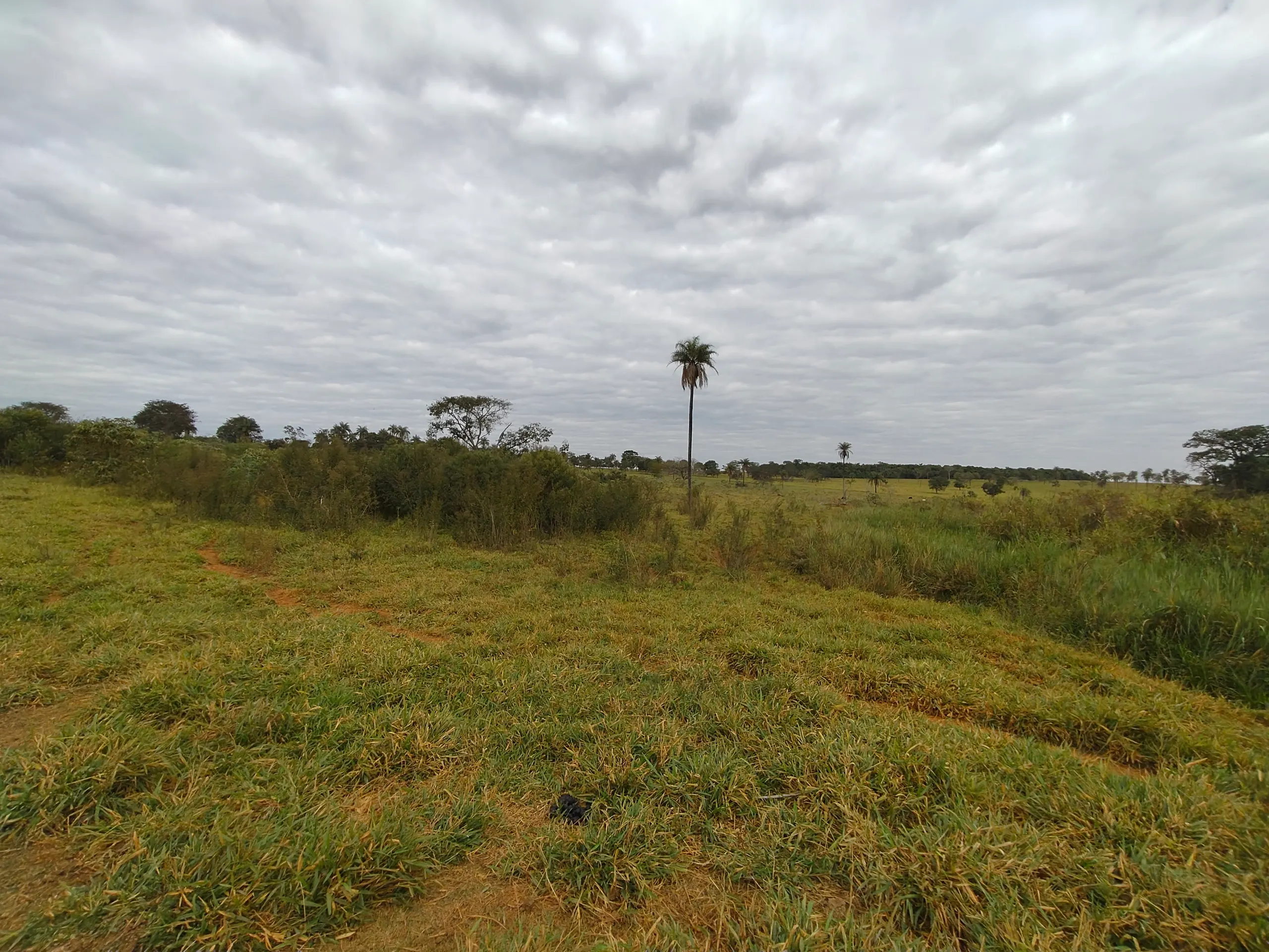 Sítio à venda de 28 ha em Abaeté, MG, Brasil