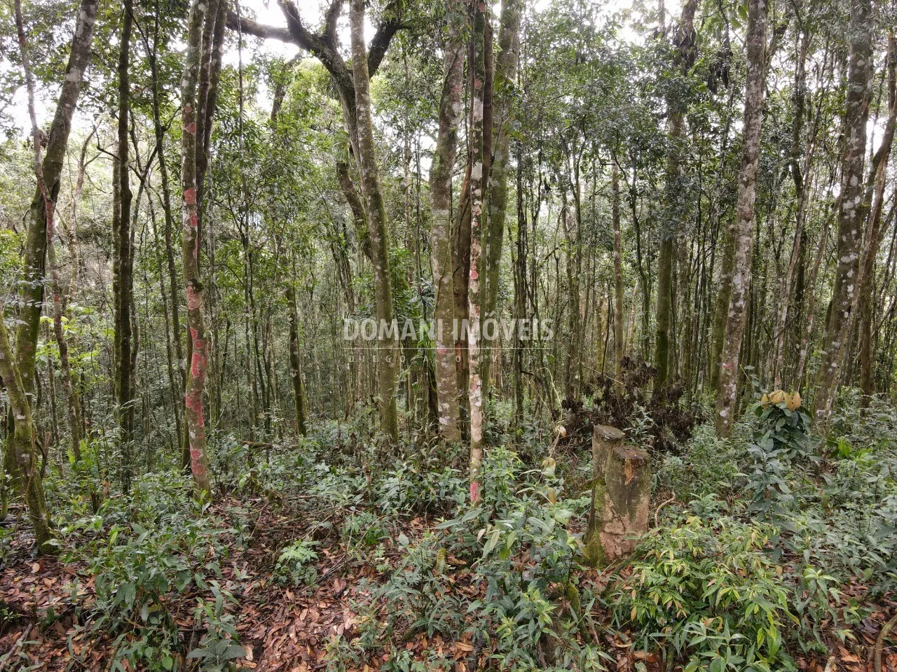 Terreno à venda de 2.520 m² em Campos do Jordão, SP, Brasil