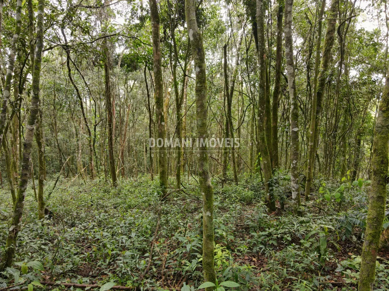 Terreno à venda de 2.520 m² em Campos do Jordão, SP, Brasil