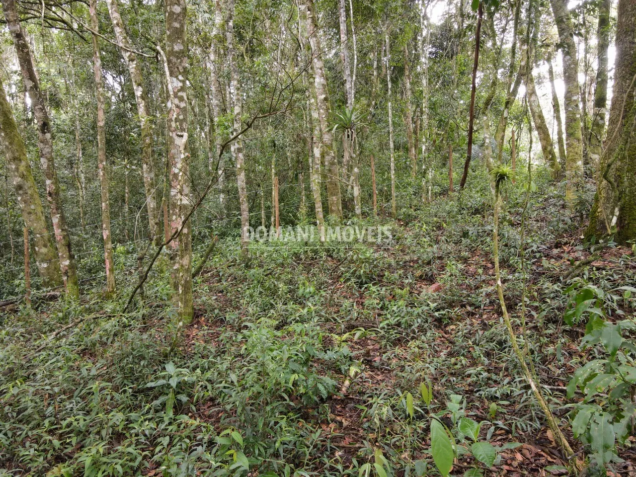 Terreno à venda de 2.520 m² em Campos do Jordão, SP, Brasil