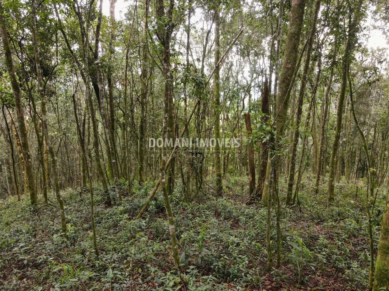 Terreno à venda de 2.520 m² em Campos do Jordão, SP, Brasil