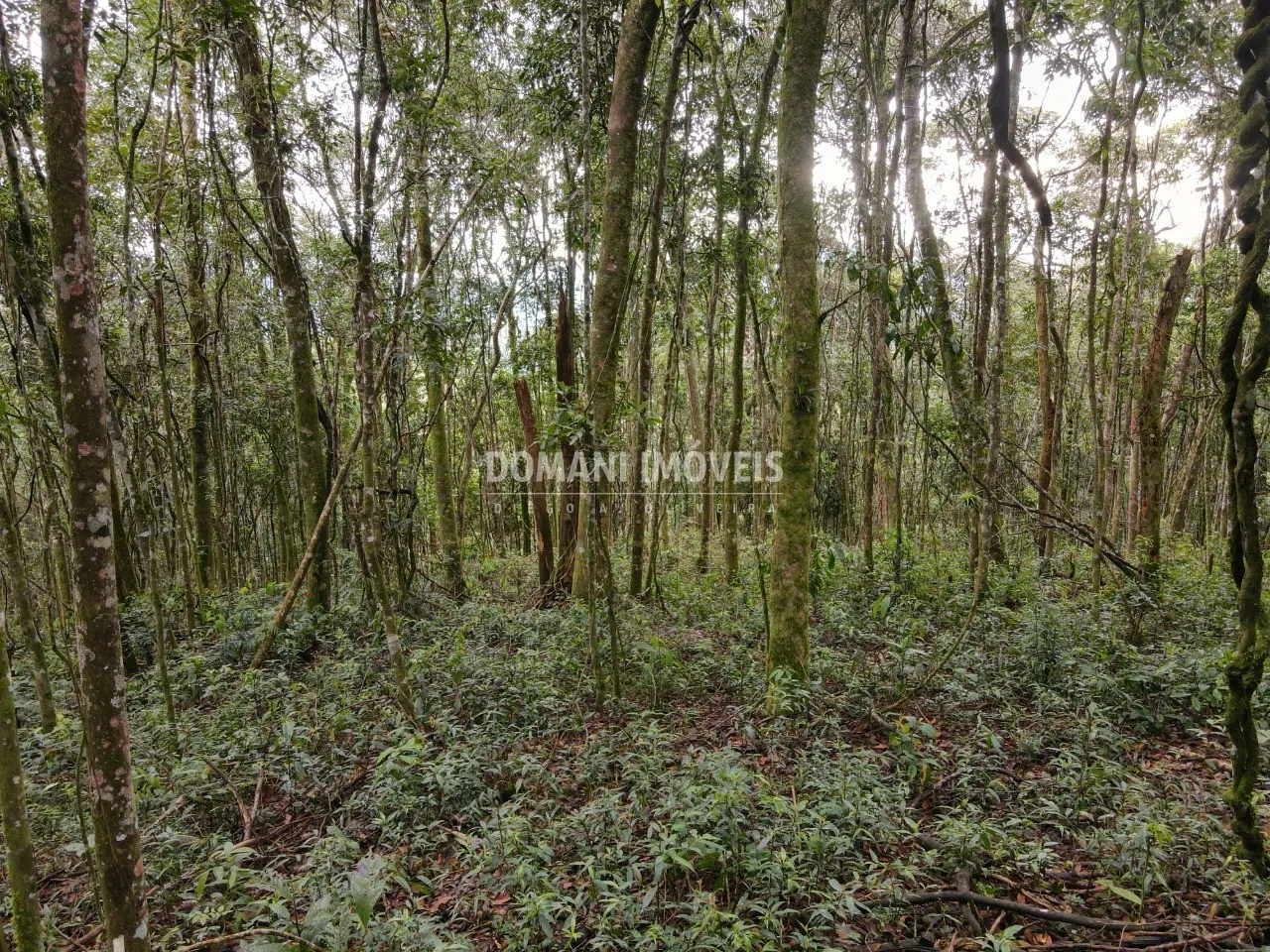 Terreno à venda de 2.520 m² em Campos do Jordão, SP, Brasil