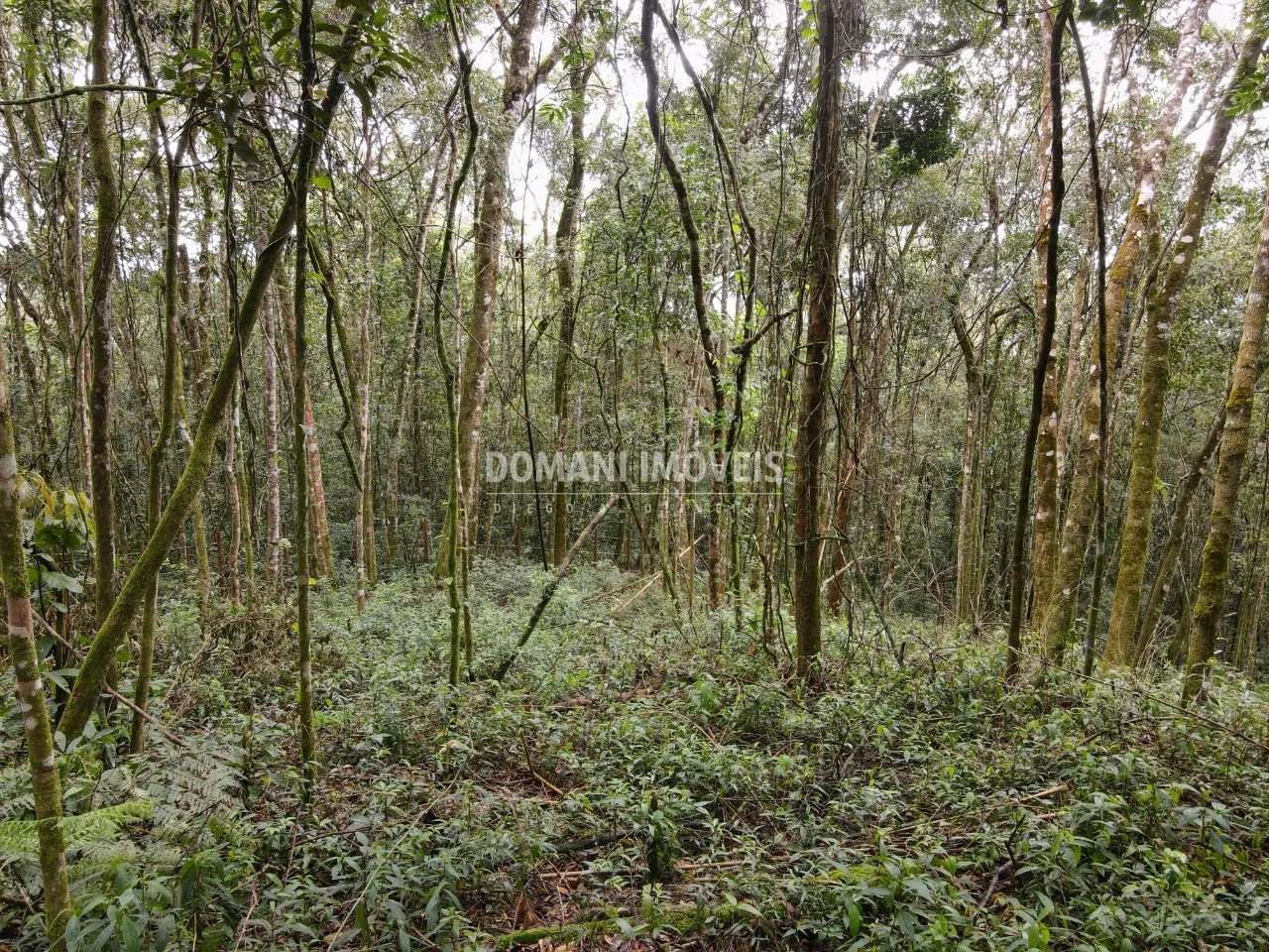 Terreno à venda de 2.520 m² em Campos do Jordão, SP, Brasil