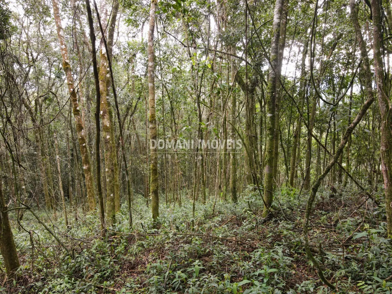 Terreno à venda de 2.520 m² em Campos do Jordão, SP, Brasil