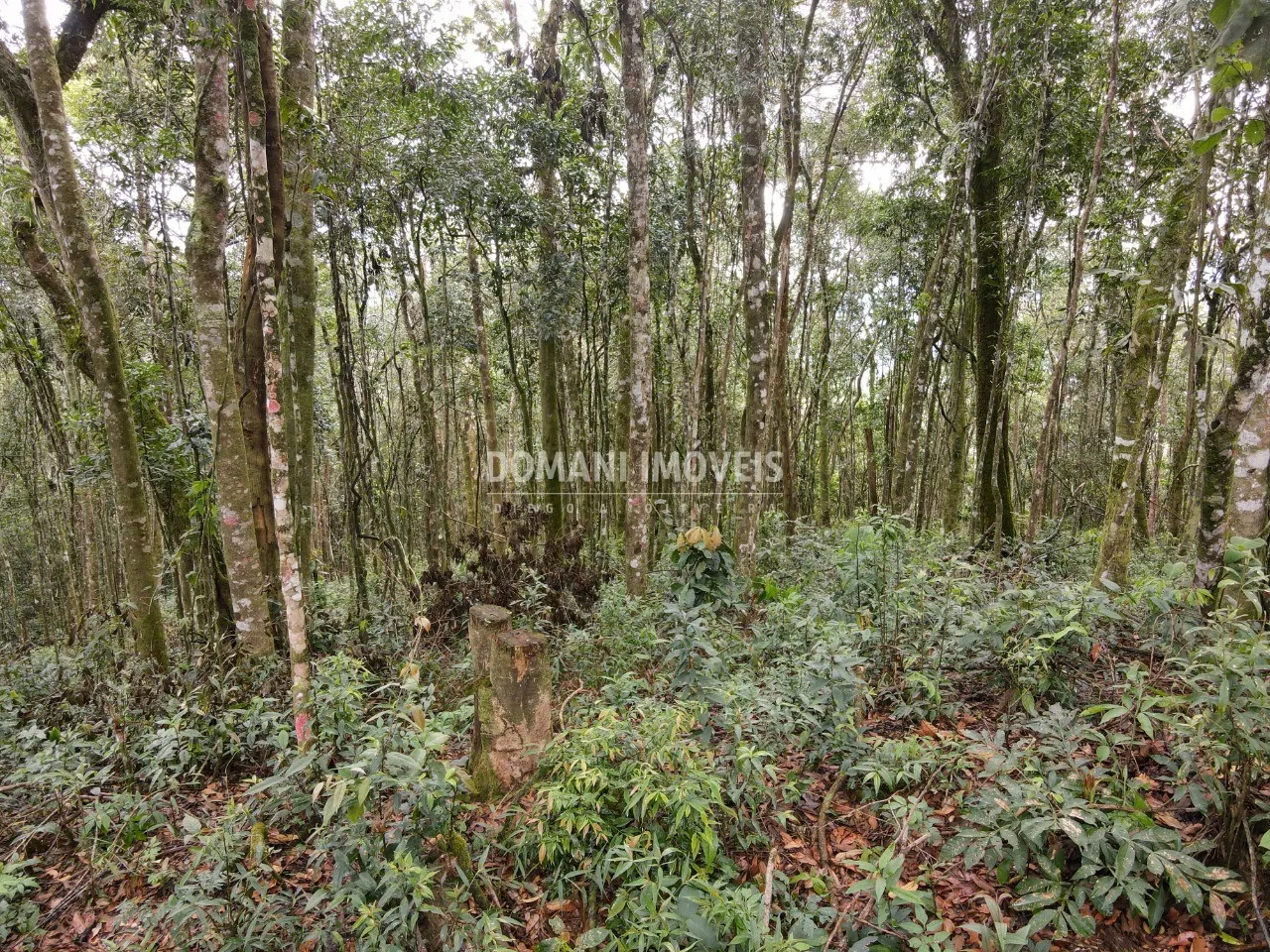 Terreno à venda de 2.520 m² em Campos do Jordão, SP, Brasil