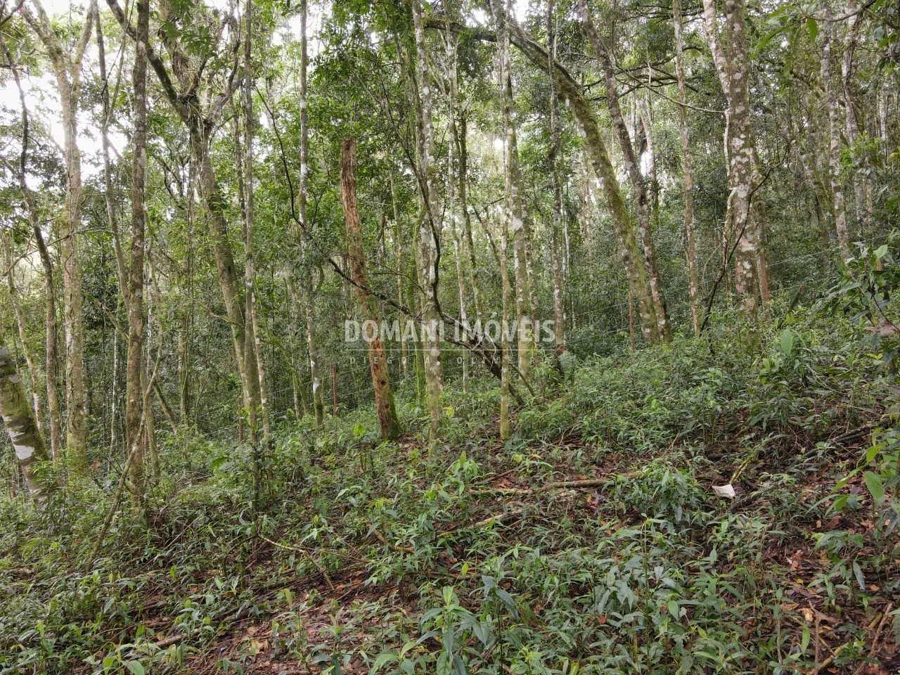 Terreno à venda de 2.520 m² em Campos do Jordão, SP, Brasil