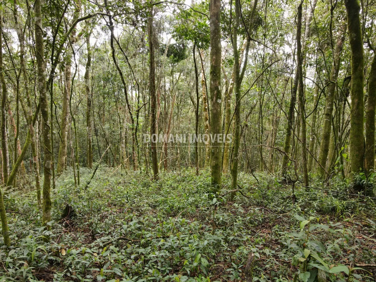 Terreno à venda de 2.520 m² em Campos do Jordão, SP, Brasil