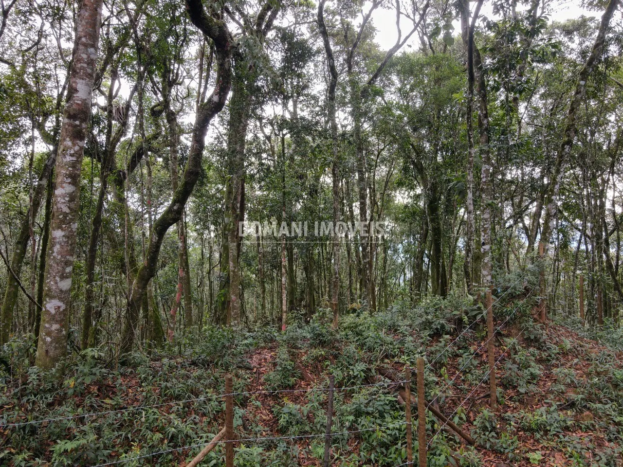 Terreno à venda de 2.520 m² em Campos do Jordão, SP, Brasil