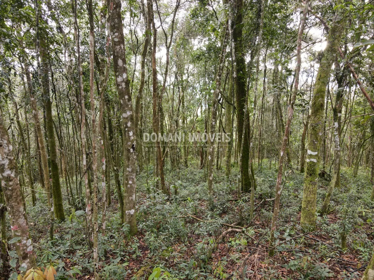 Terreno à venda de 2.520 m² em Campos do Jordão, SP, Brasil