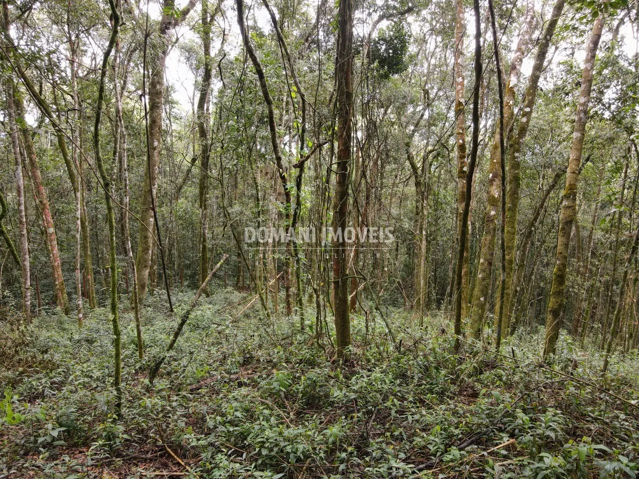 Terreno à venda de 2.520 m² em Campos do Jordão, SP, Brasil