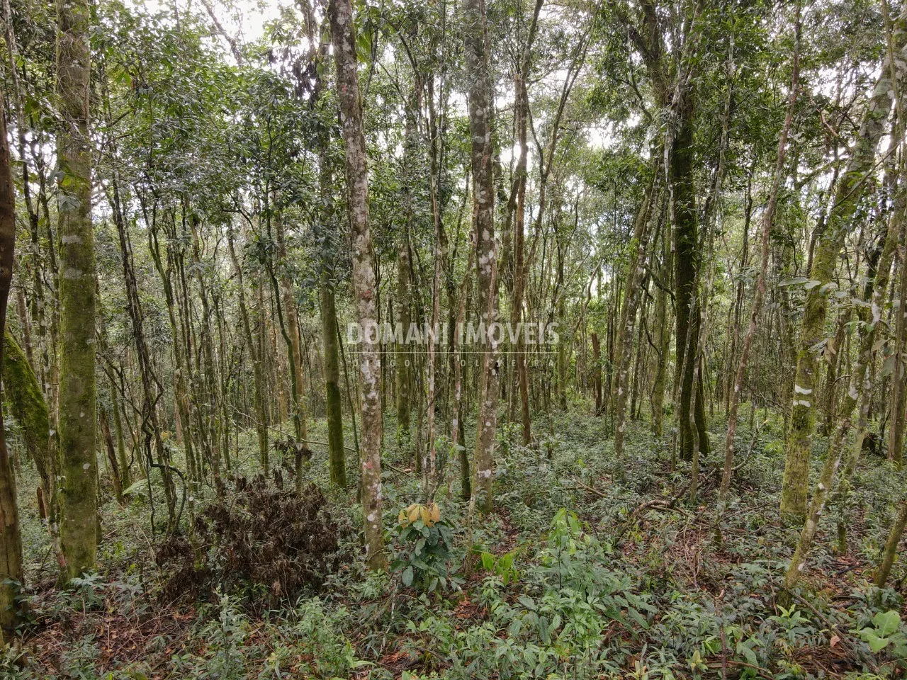 Terreno à venda de 2.520 m² em Campos do Jordão, SP, Brasil