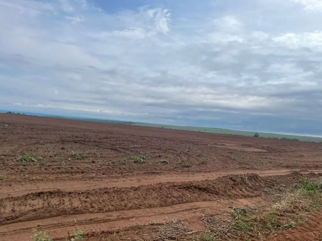 Fazenda à venda e para Arrendar de 1.500 ha em Tapurah, MT, Brasil