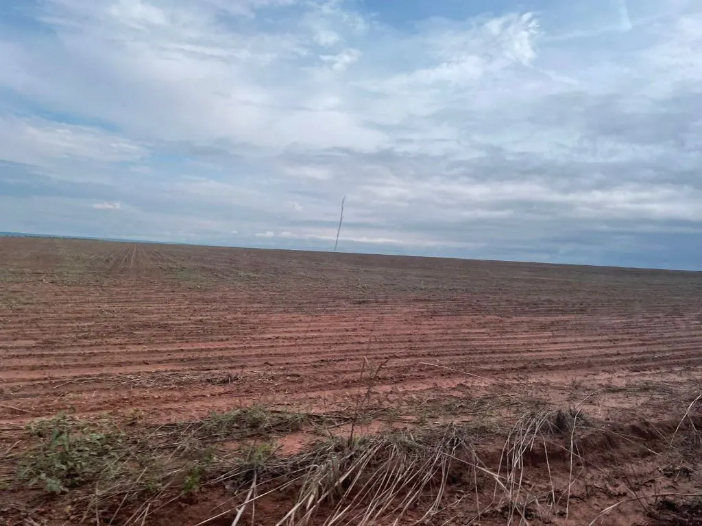 Fazenda à venda e para Arrendar de 1.500 ha em Tapurah, MT, Brasil
