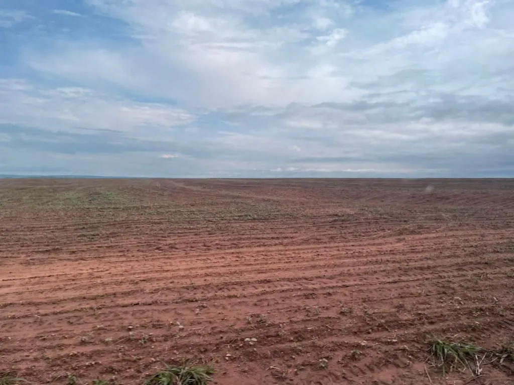 Fazenda à venda e para Arrendar de 1.500 ha em Tapurah, MT, Brasil