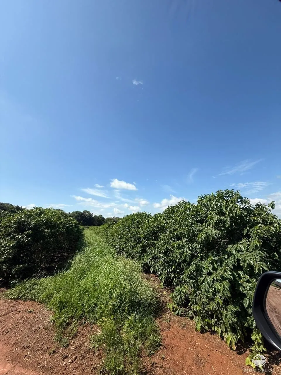 Fazenda à venda de 640 ha em Piumhi, MG, Brasil