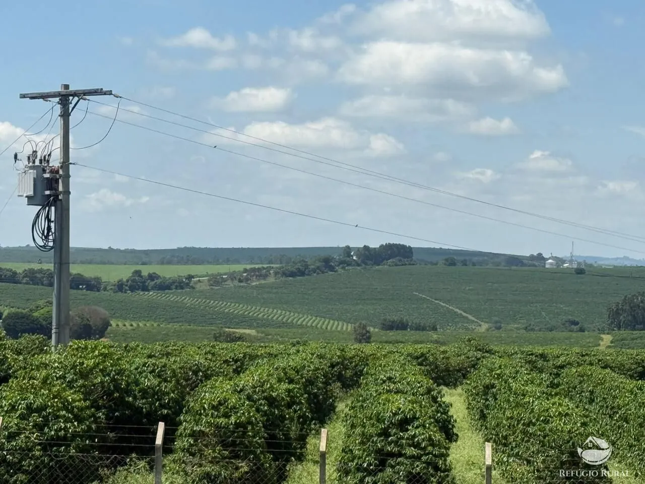 Fazenda à venda de 640 ha em Piumhi, MG, Brasil