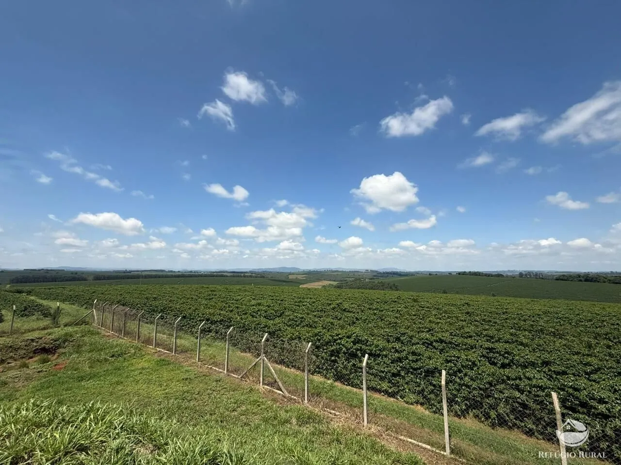 Fazenda à venda de 640 ha em Piumhi, MG, Brasil