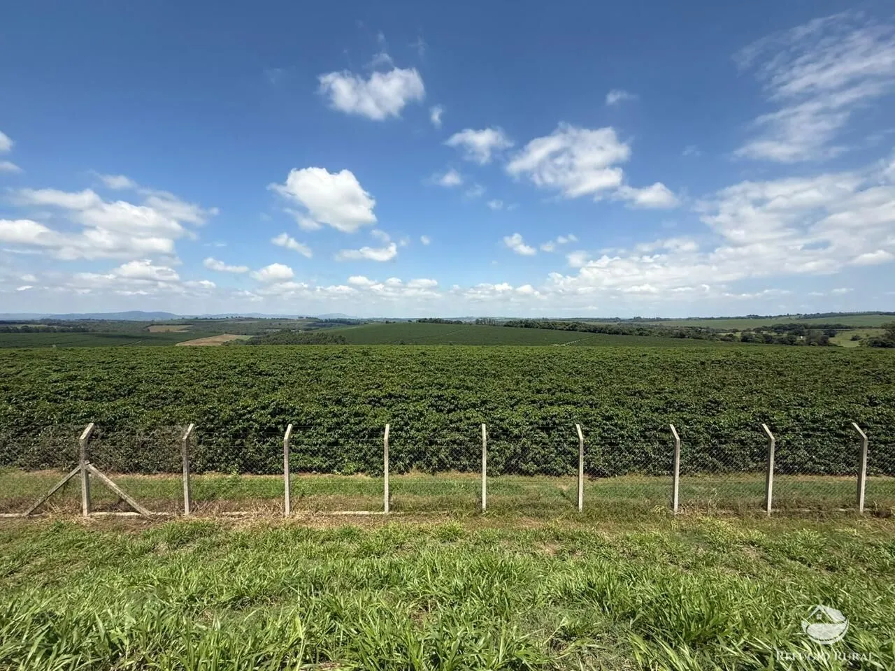 Fazenda à venda de 640 ha em Piumhi, MG, Brasil