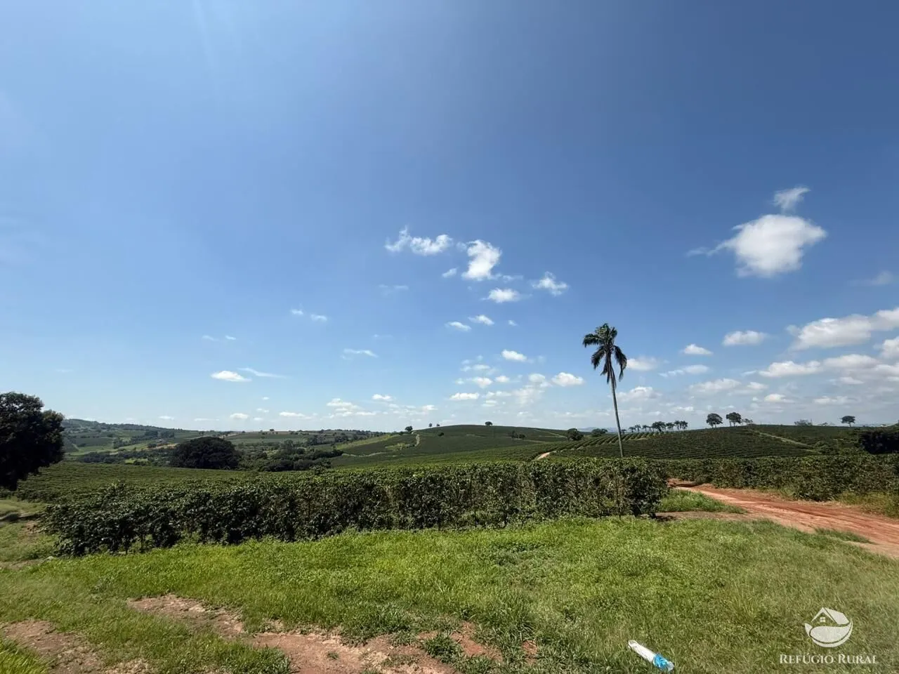 Fazenda à venda de 640 ha em Piumhi, MG, Brasil